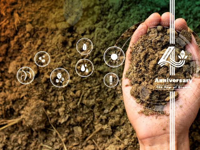 Pupuk Hortikultura Aho28